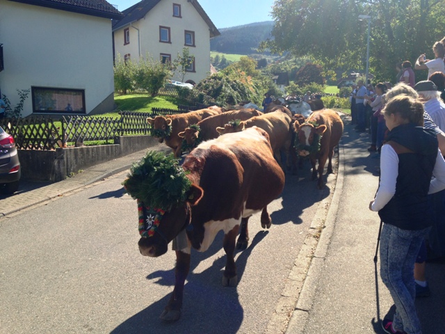 camping oberried 2015 10 47 - Kopie